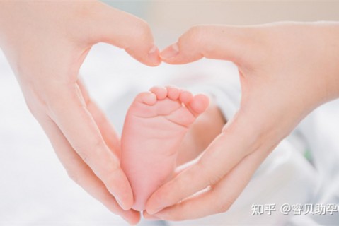 http://51dzb.net/post/188.html|广州新闻中心
